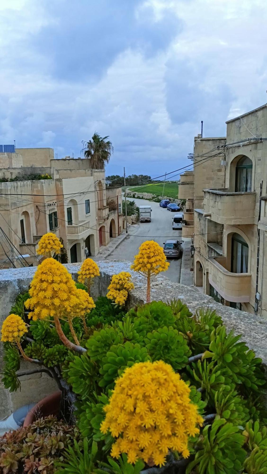 Arthome - Guest Rooms Għarb 外观 照片